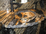 MAGMA GOLD
